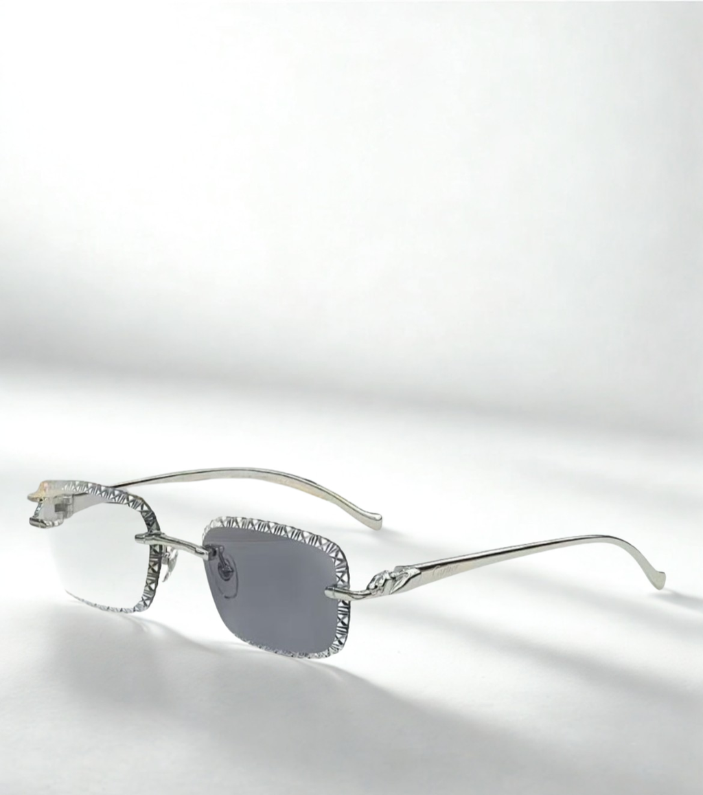 C** Jaguars 4 saisons Silver Grey