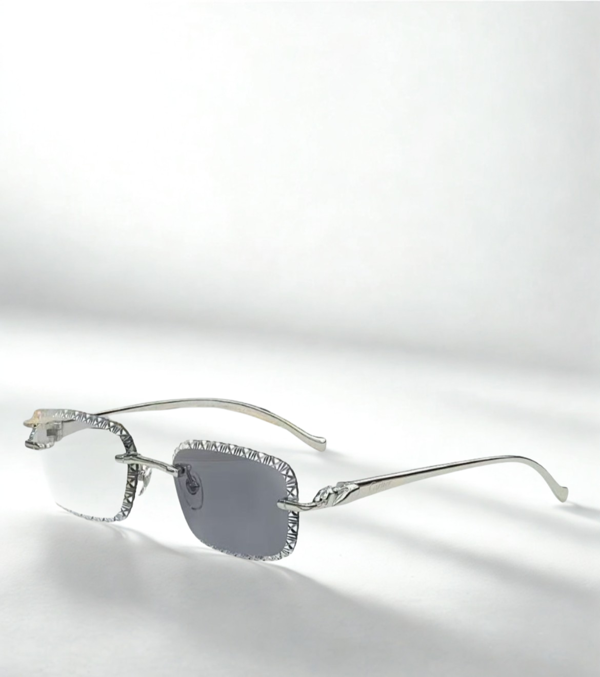 C** Jaguars 4 saisons Silver Grey