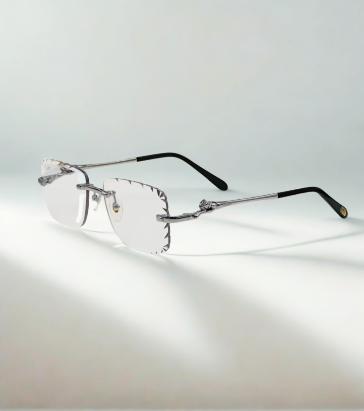 C** 3125  4 saison Silver Grey